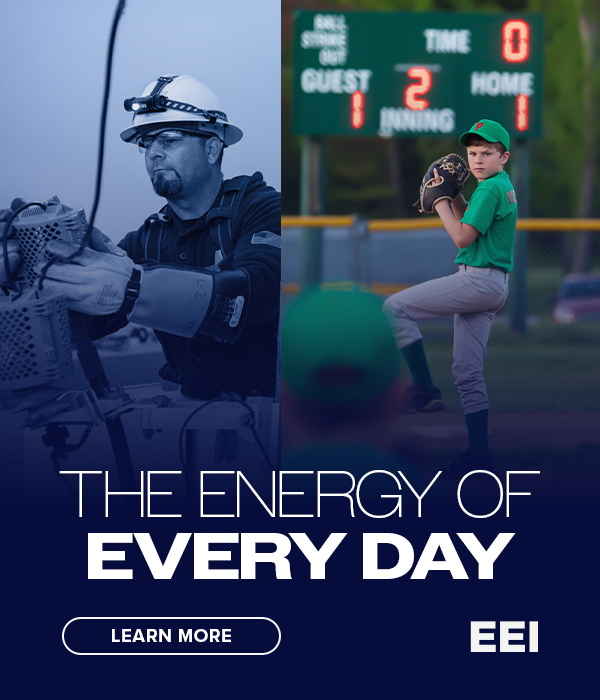 Edison Electric Institute
