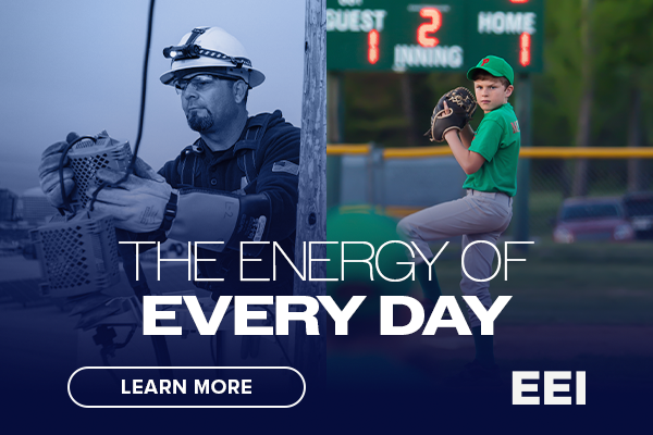 Edison Electric Institute
