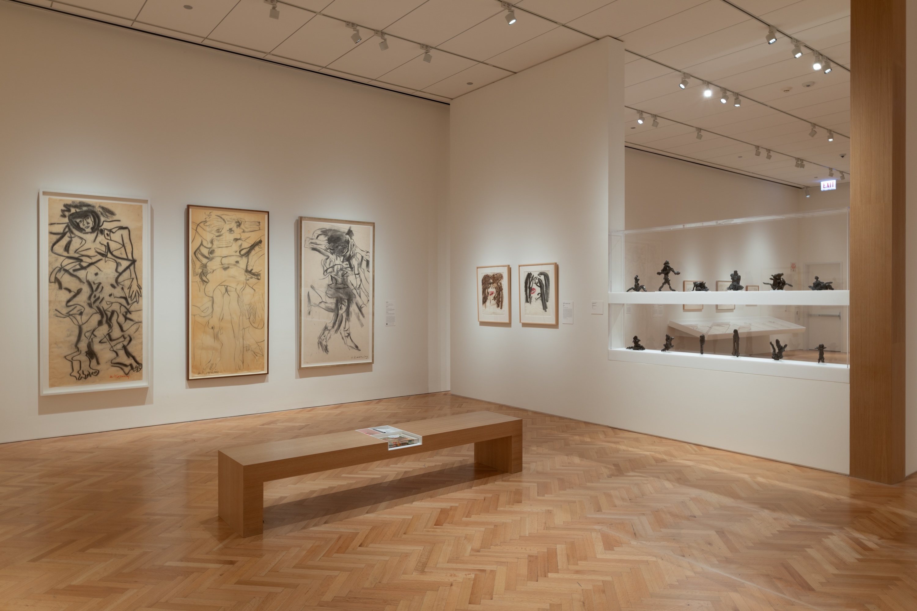 Willem de Kooning Drawing at the Art Institute of Chicago. Photo: Courtesy of the Art Institute of Chicago