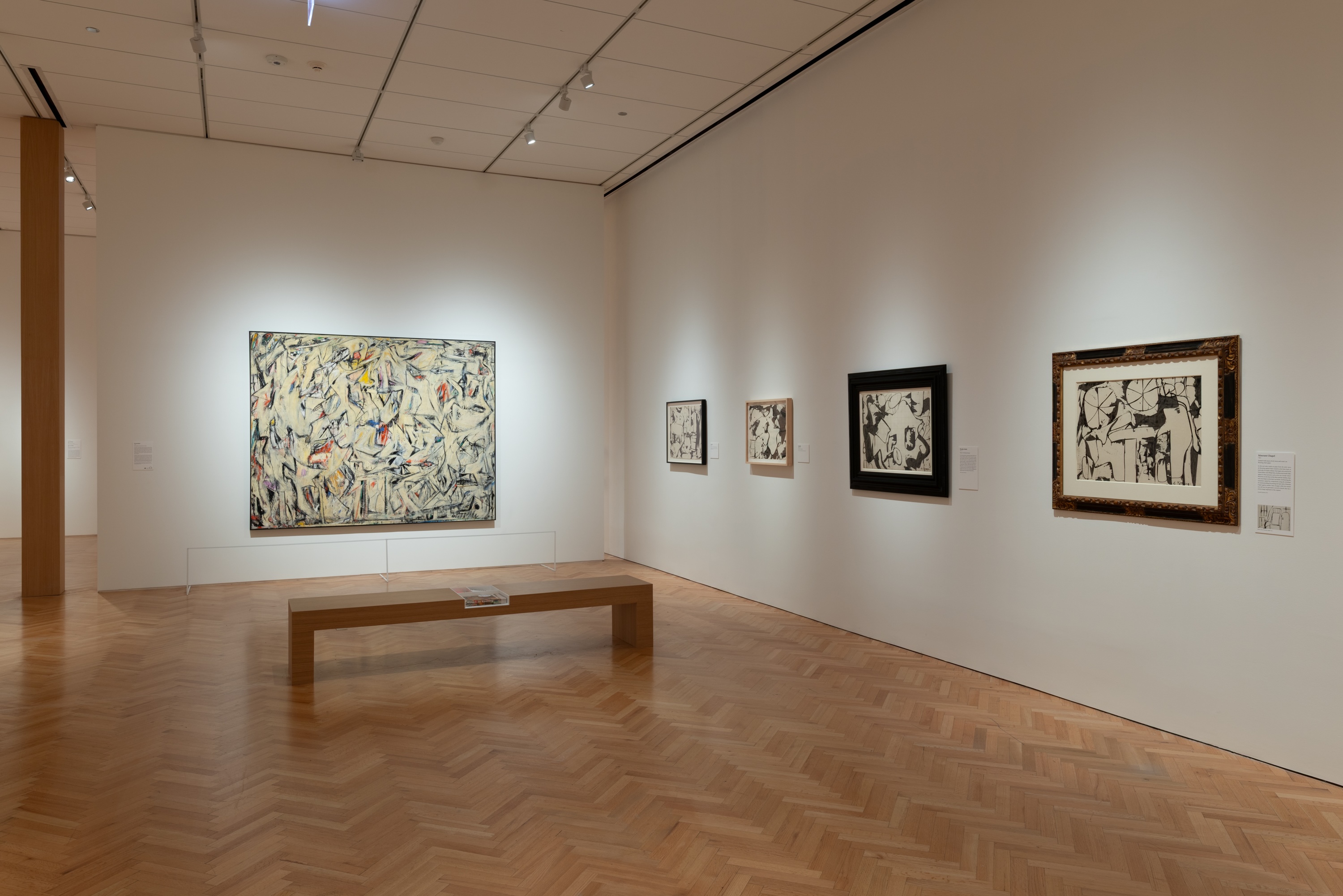 Willem de Kooning Drawing at the Art Institute of Chicago. Photo: Courtesy of the Art Institute of Chicago