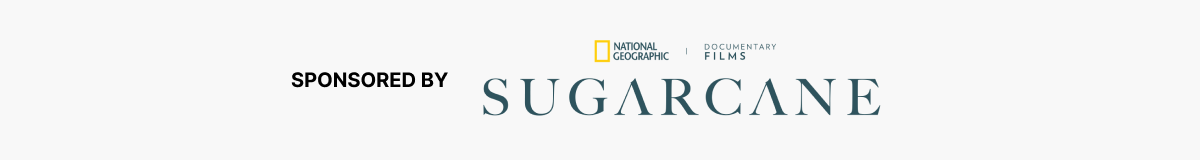 Sugarcane