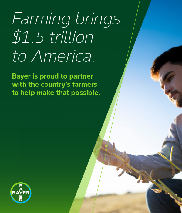 Bayer