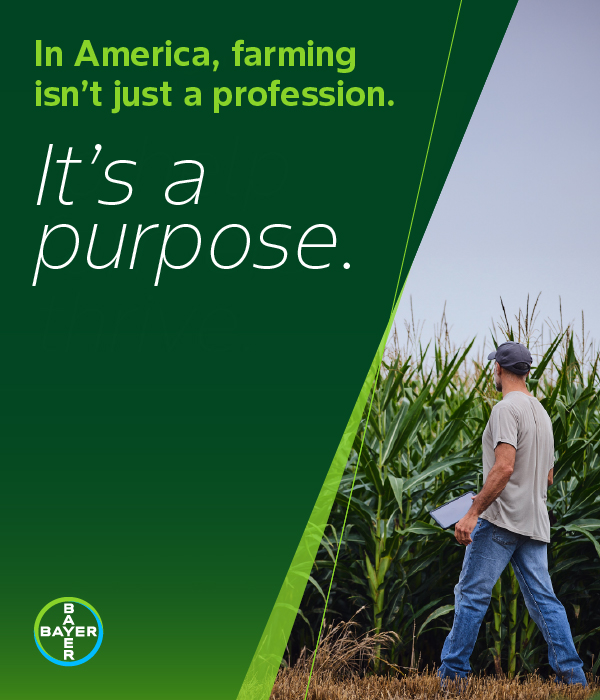 Bayer