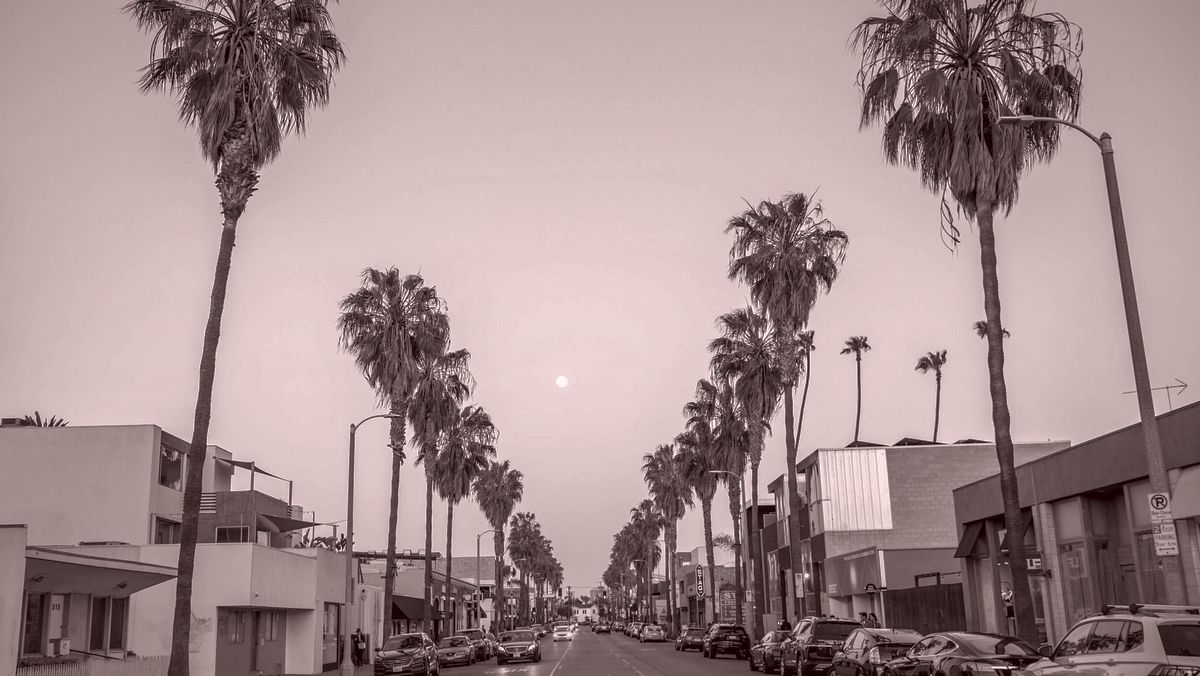 The Week in Shopping: Caruso’s Grove Nostalgia & Synergy on Melrose