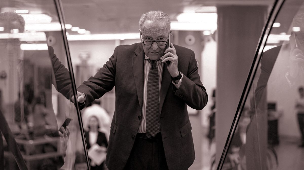 Schumer Insurgents