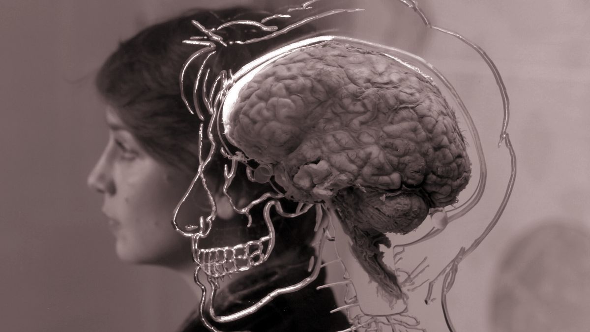 Neuromorphic A.I.