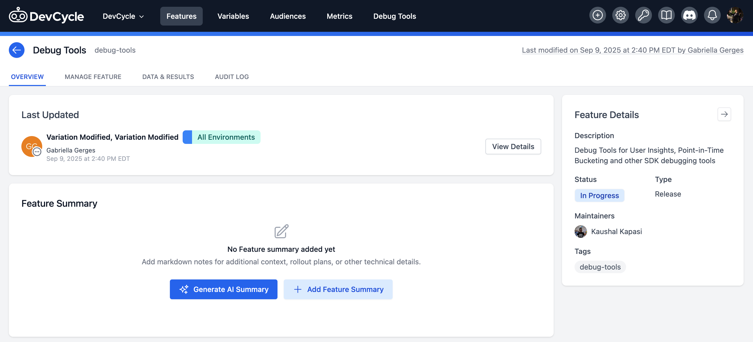 AI-Generated Feature Summmaries