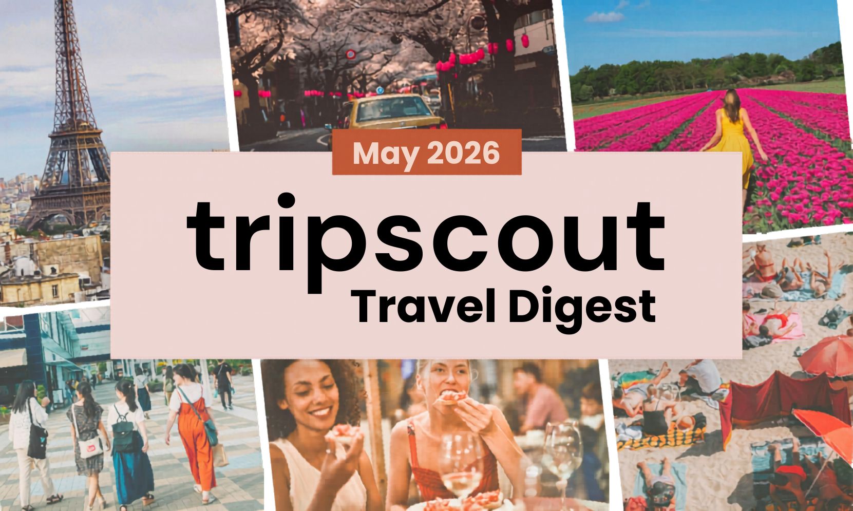 Tripscout travel digest