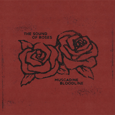 Muscadine Bloodline