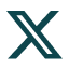X Icon