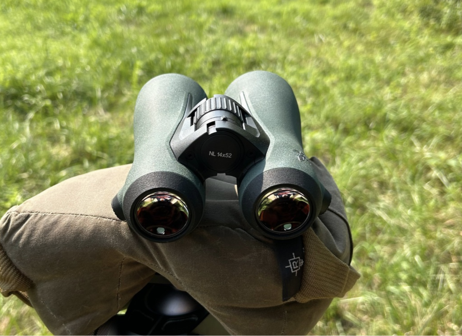 NL Pure Panoptic Cups