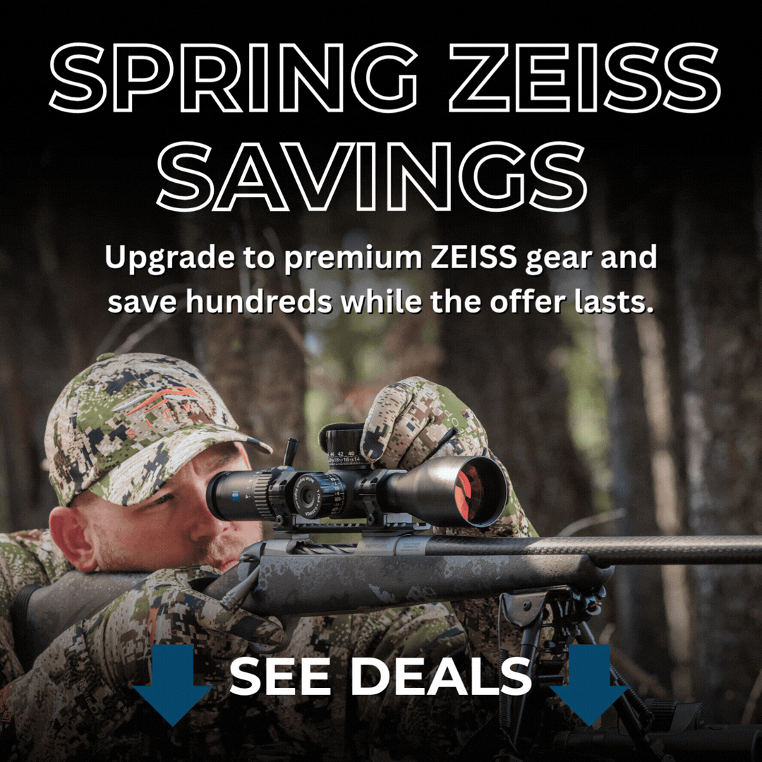 Spring Zeiss savings graphic