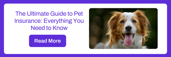 The Ultimate Guide to Pet Insurance