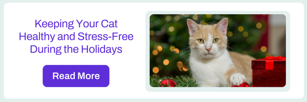 Keeping Your Cat Stress-Free During the Holidays