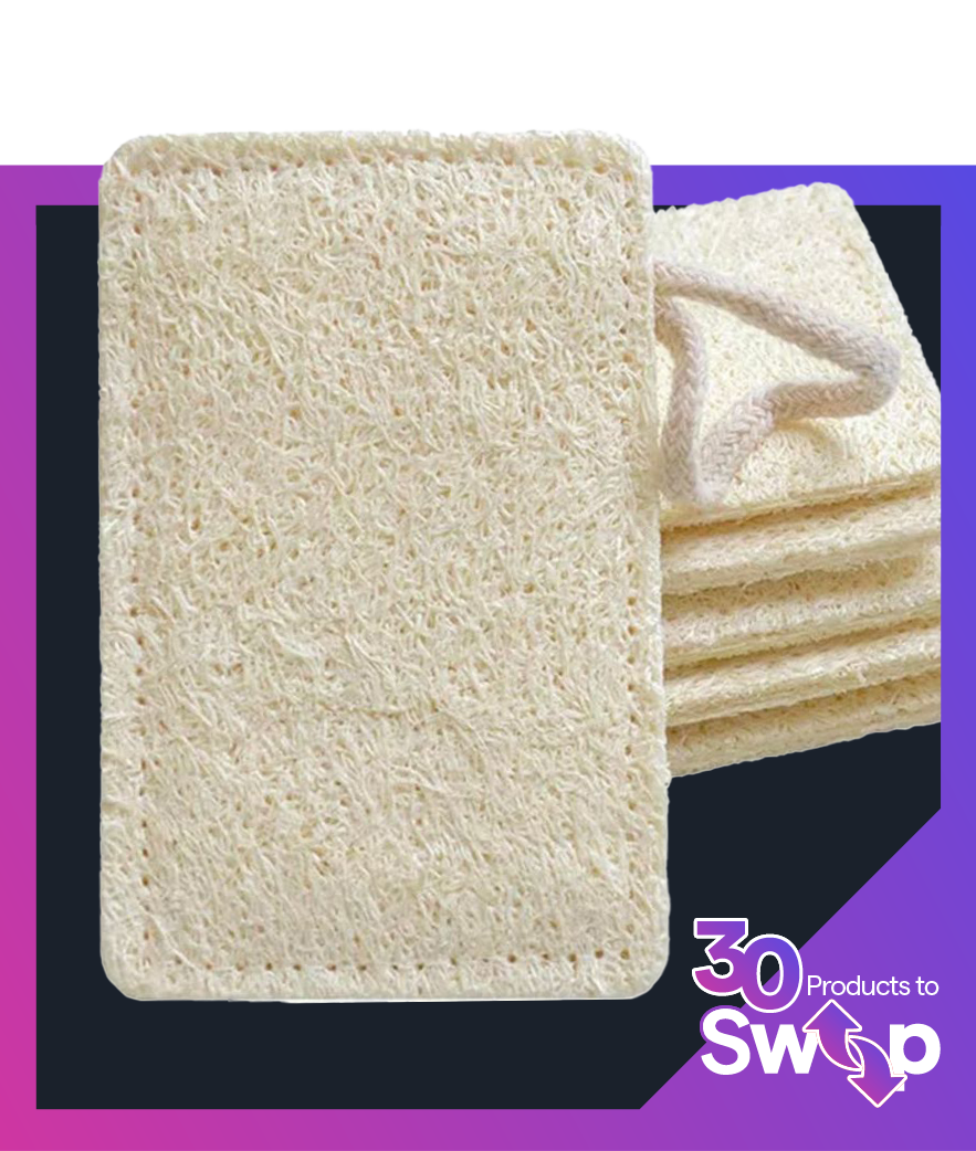 Kitchen Sponge