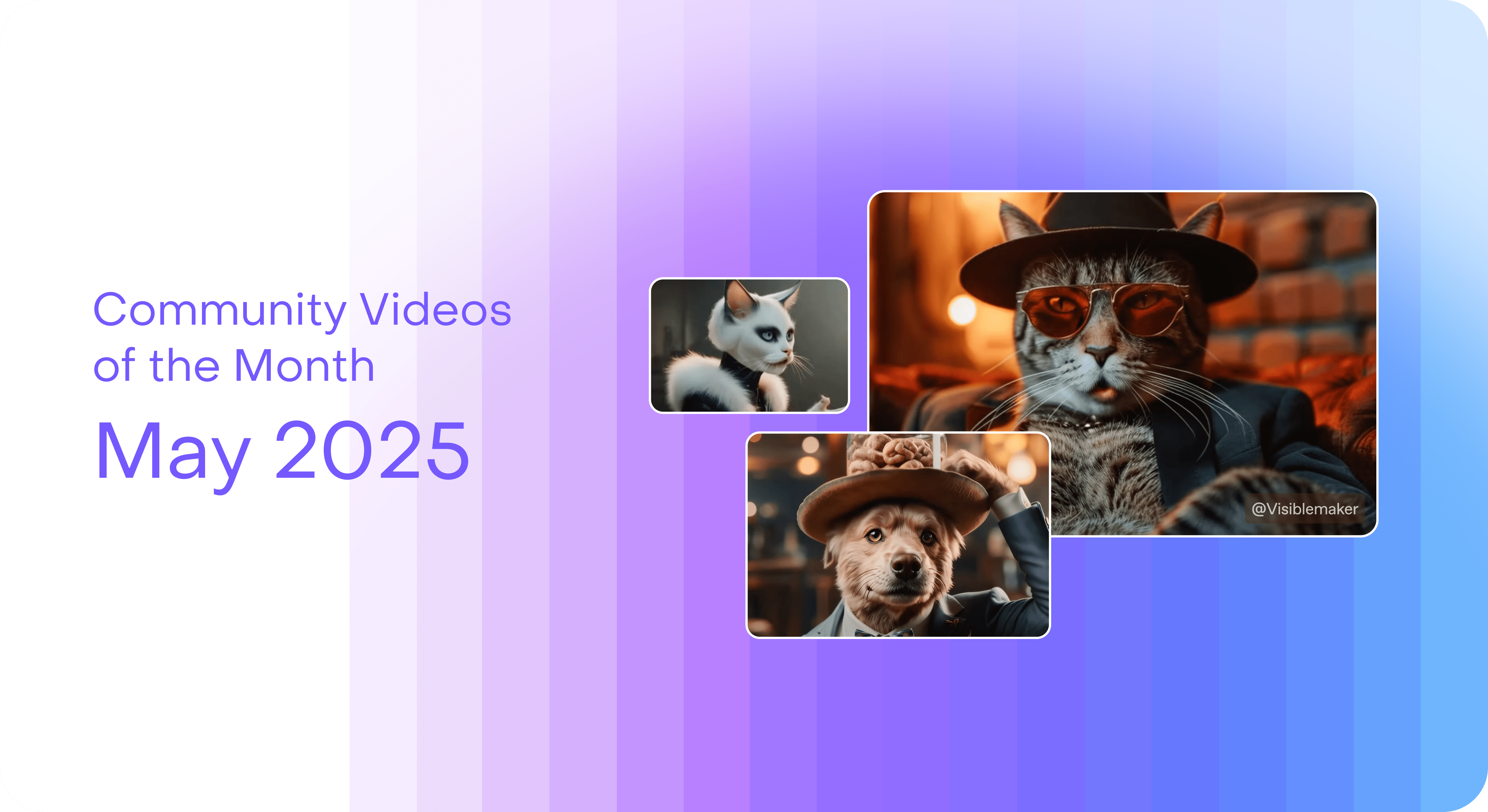 May videos of the month