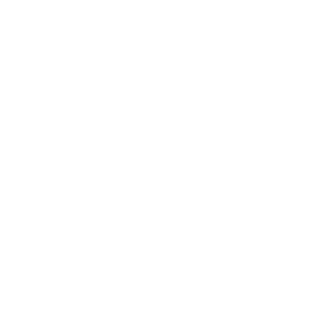 Google Play Store