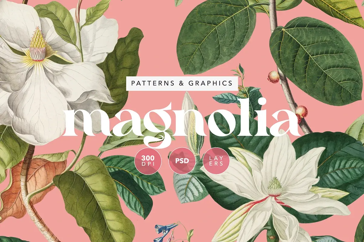 Magnolia