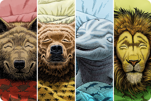 There are four sleep types. You're one of them.