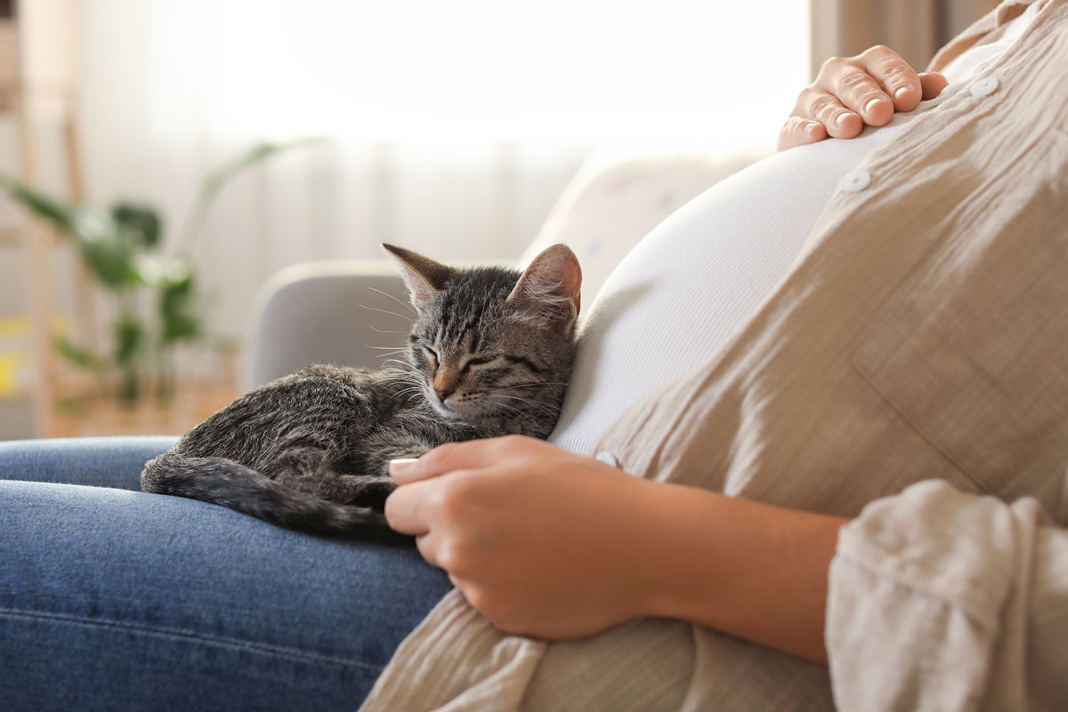 How sleep apnea affects your heart, brain & energy