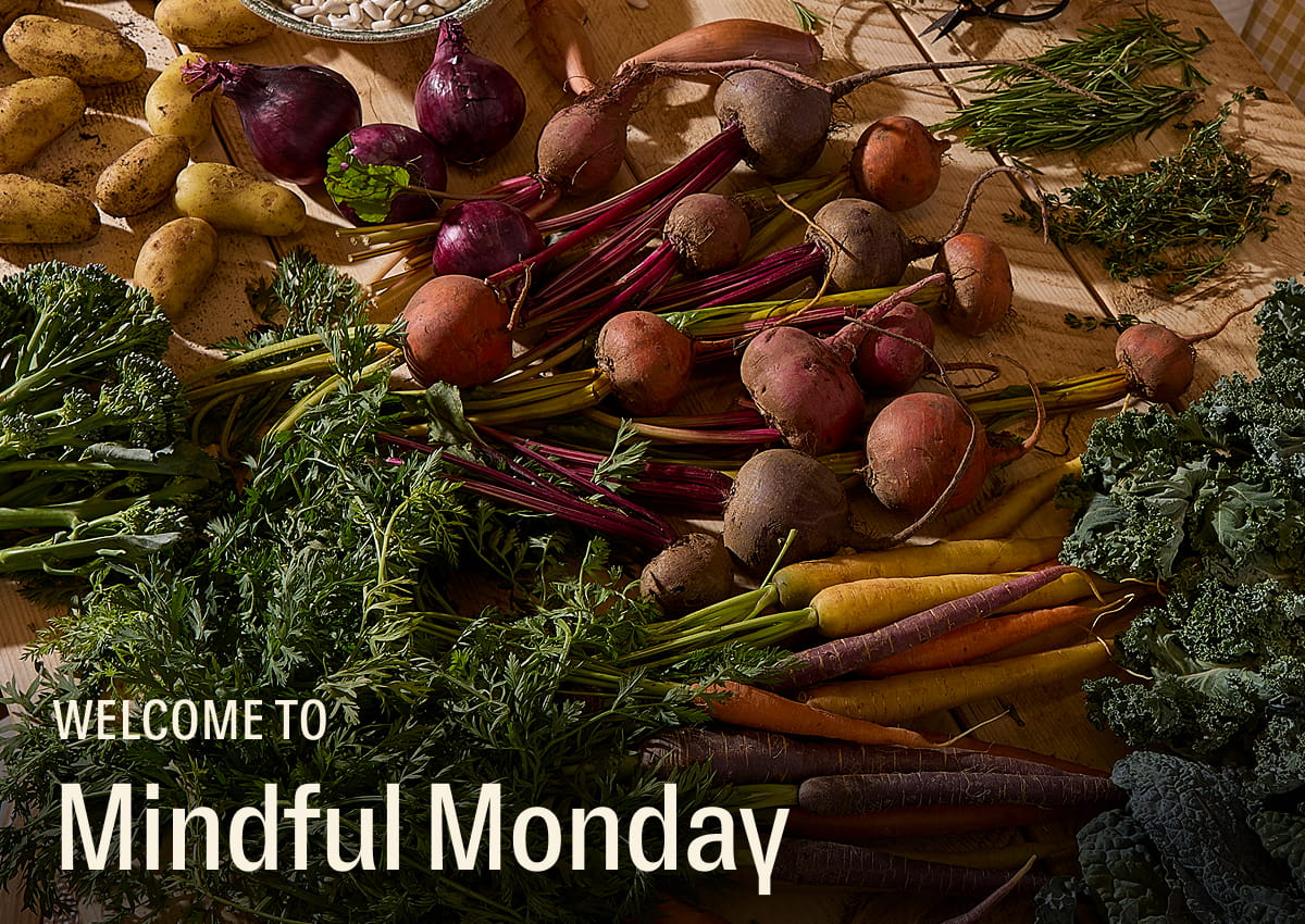 Welcome to Mindful Monday