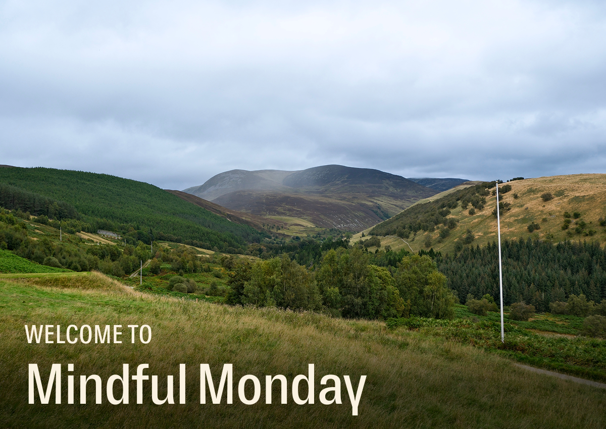 Welcome to Mindful Monday