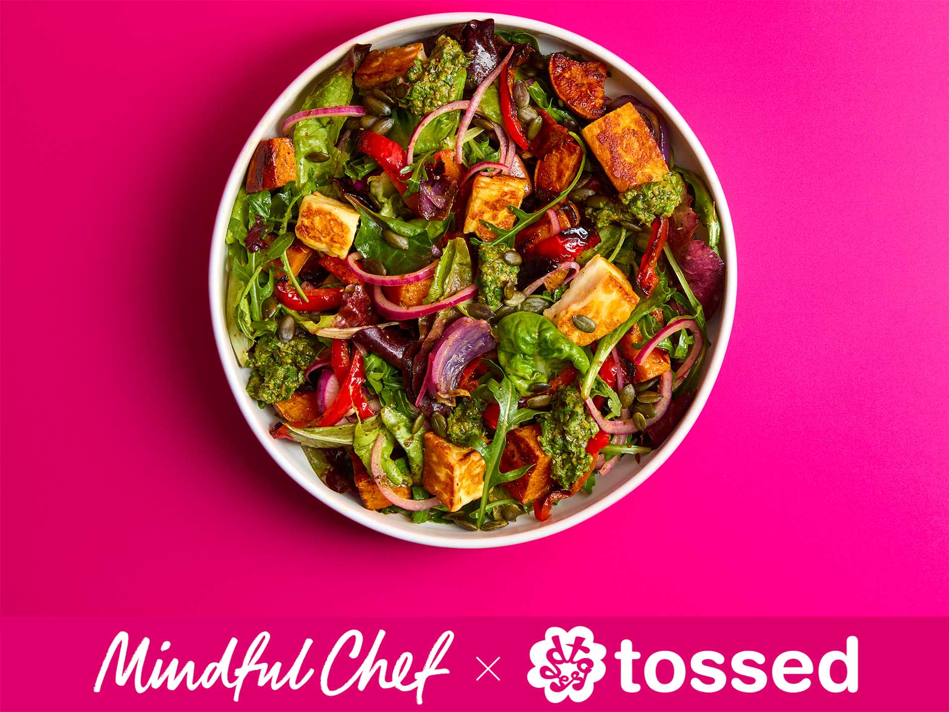 Falafel Rice Bowl with Minty Sumac Slaw & Sundried Tahini Dressing