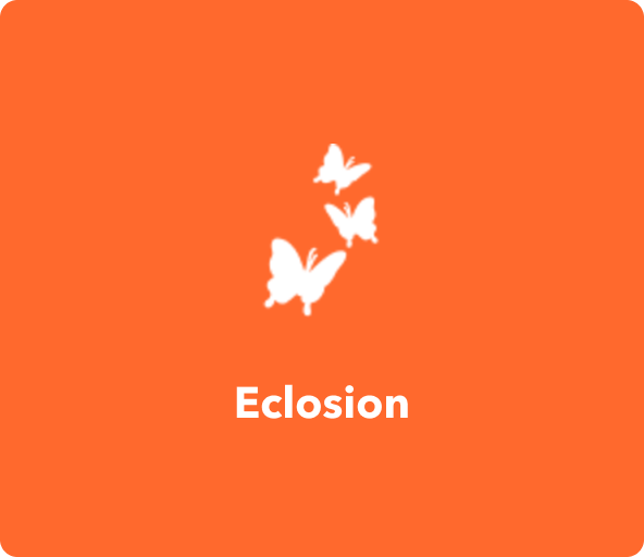 Eclosion Applets on IFTTT