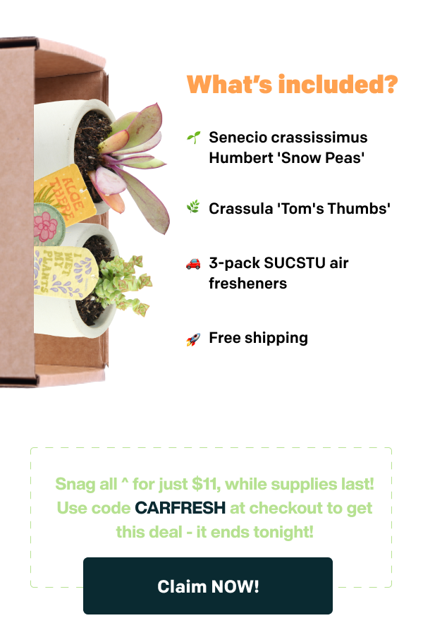 American's #1 rated succulent + cacti subscription! 