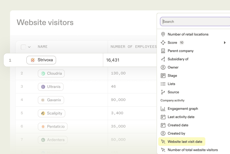 Apollo Website Visitors
