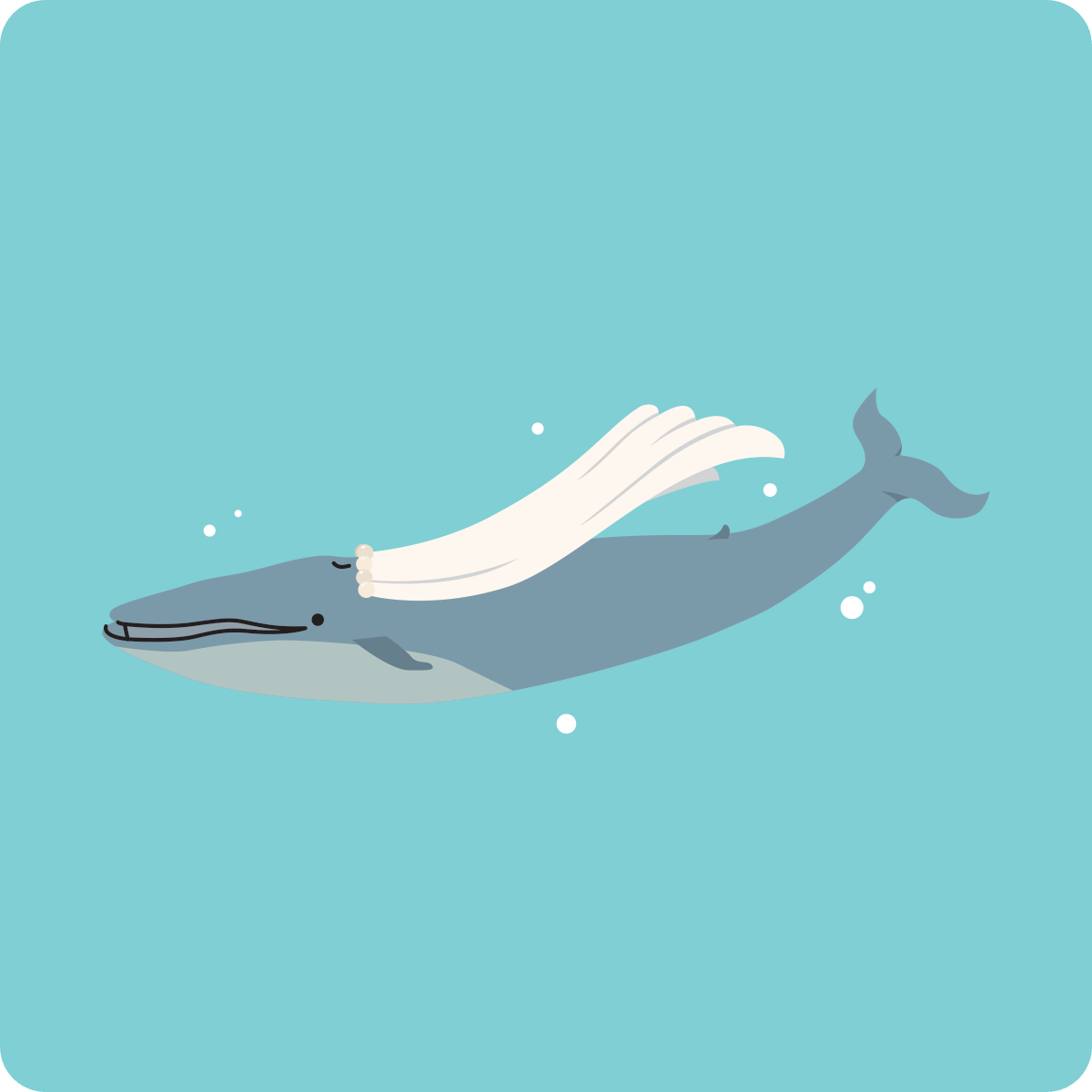 a whale with a veil