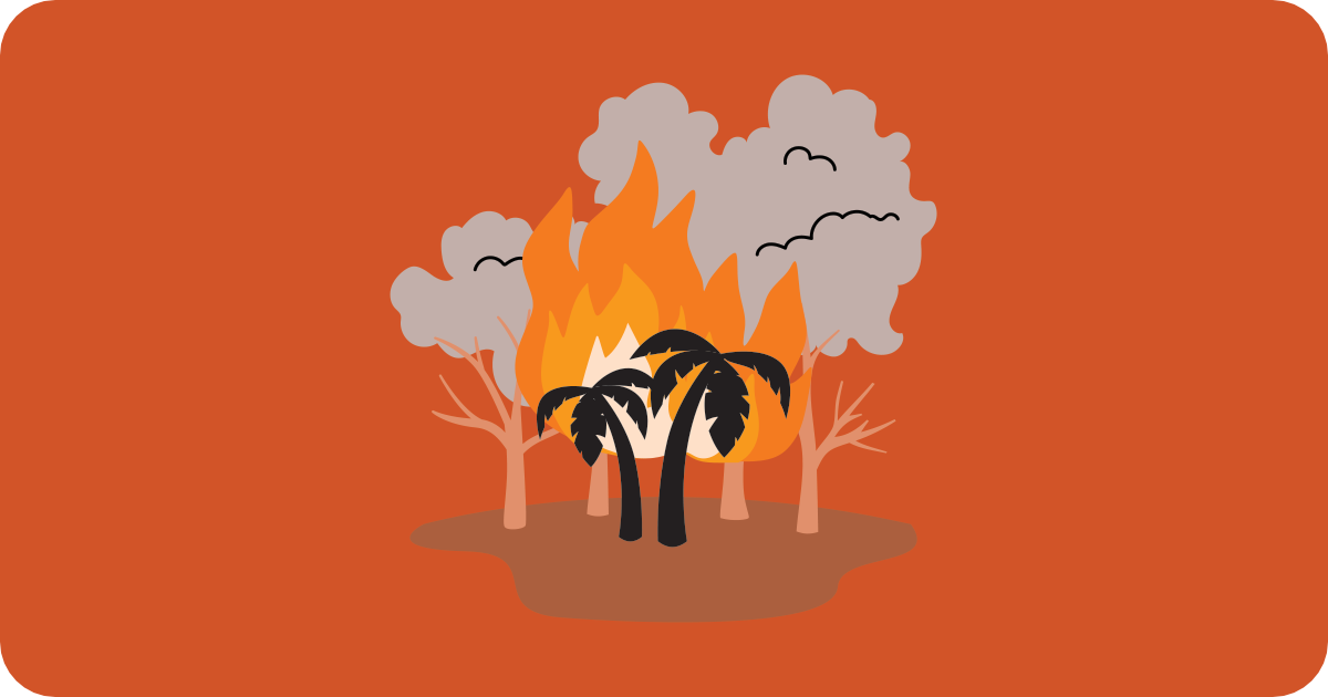 fire, smoke, palm trees, forest