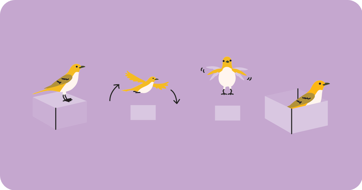 birds in and around boxes