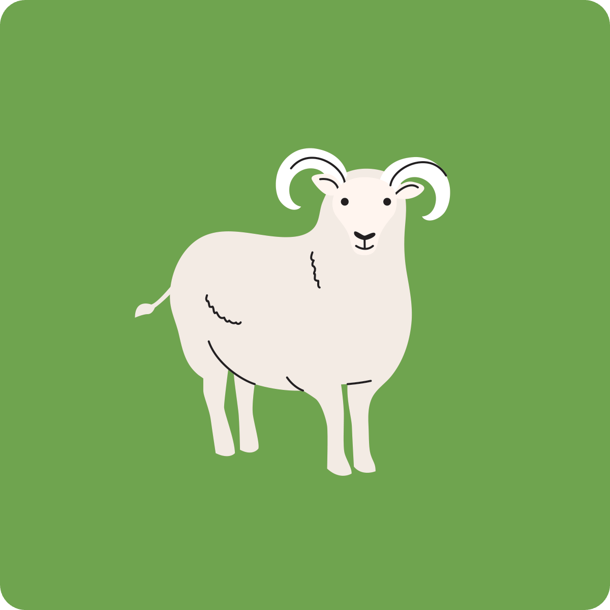 ram