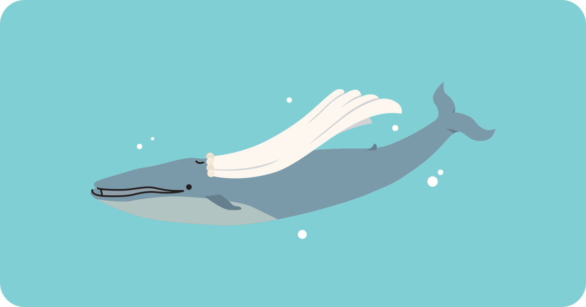 a wedding whale