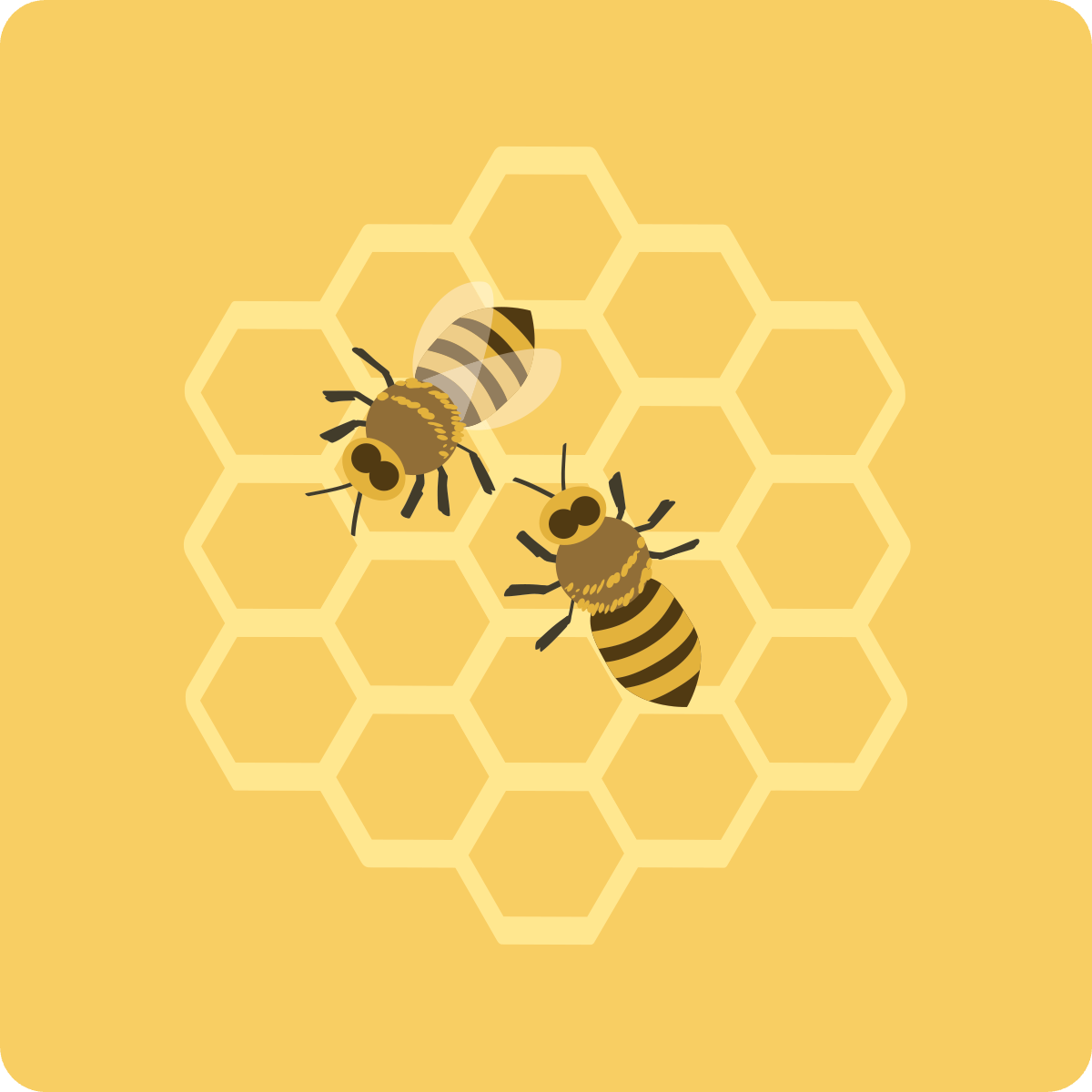 two bees in honeycomb