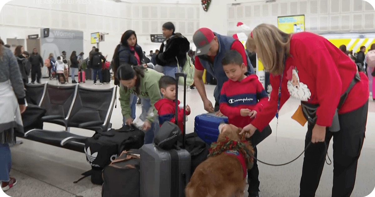 dogs meeting travelers at the airport