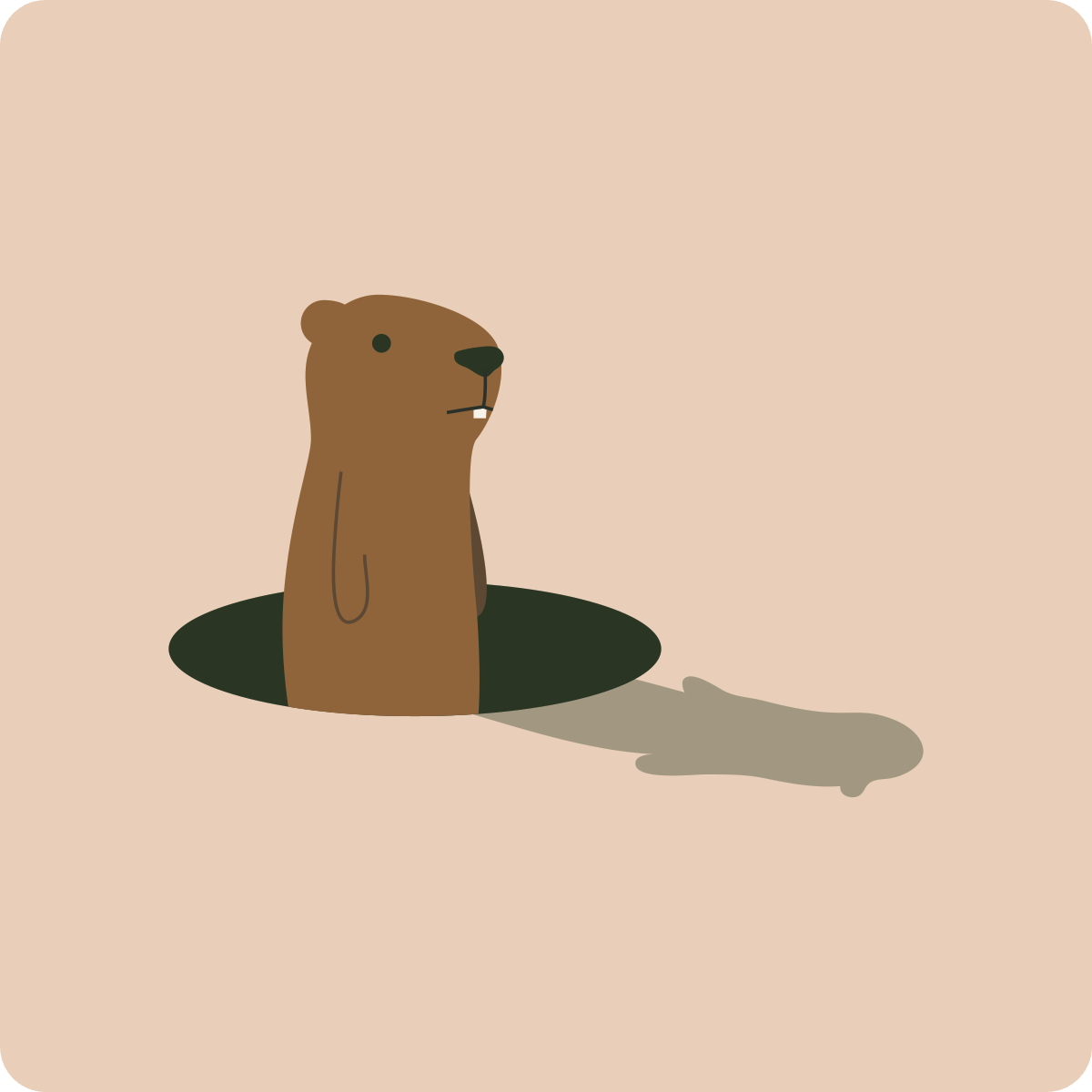 groundhog