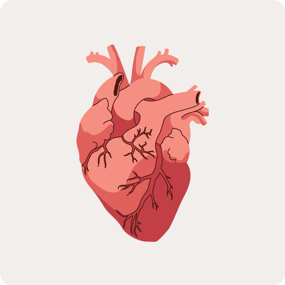 heart
