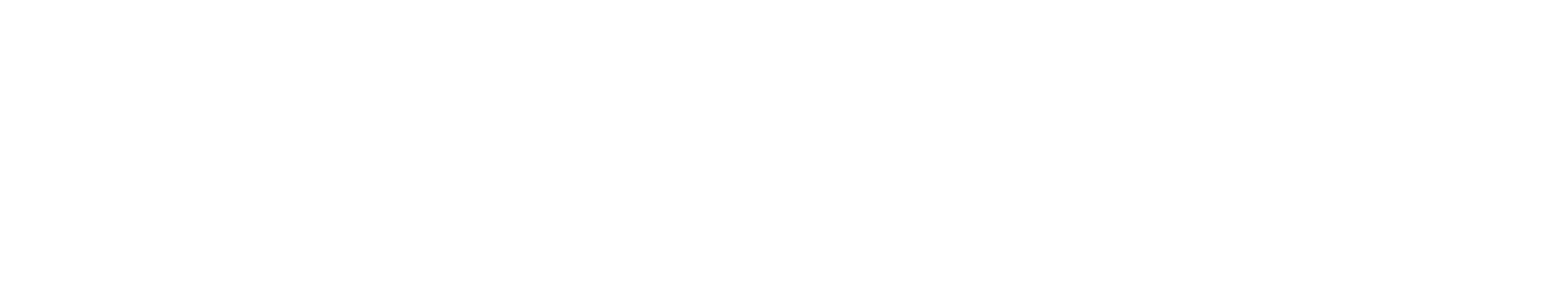 PortSwigger Logo
